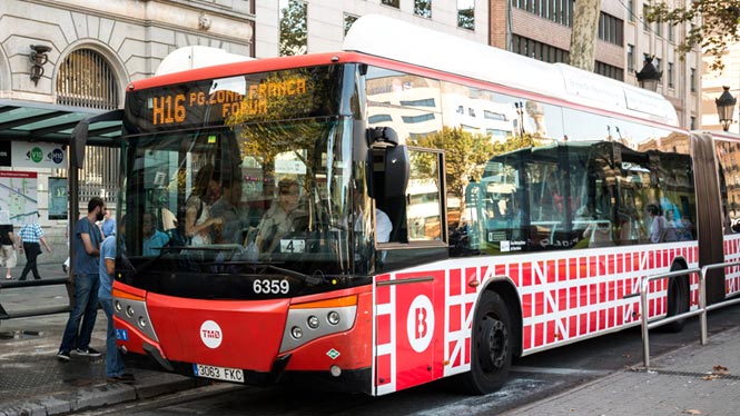 Bus
