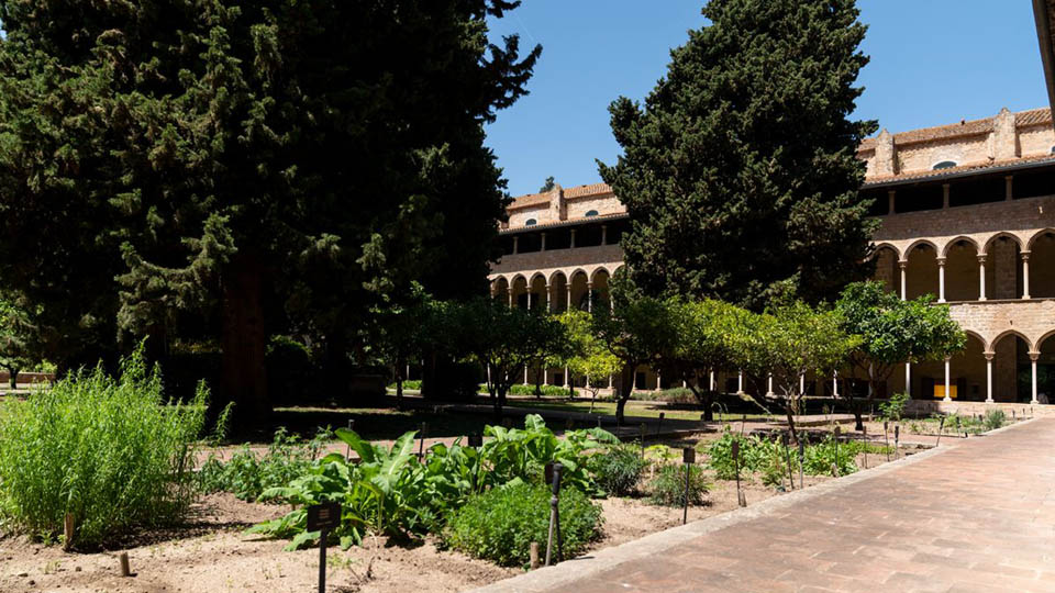 Orchard of the Royal Monastery of Santa Maria de Pedralbes